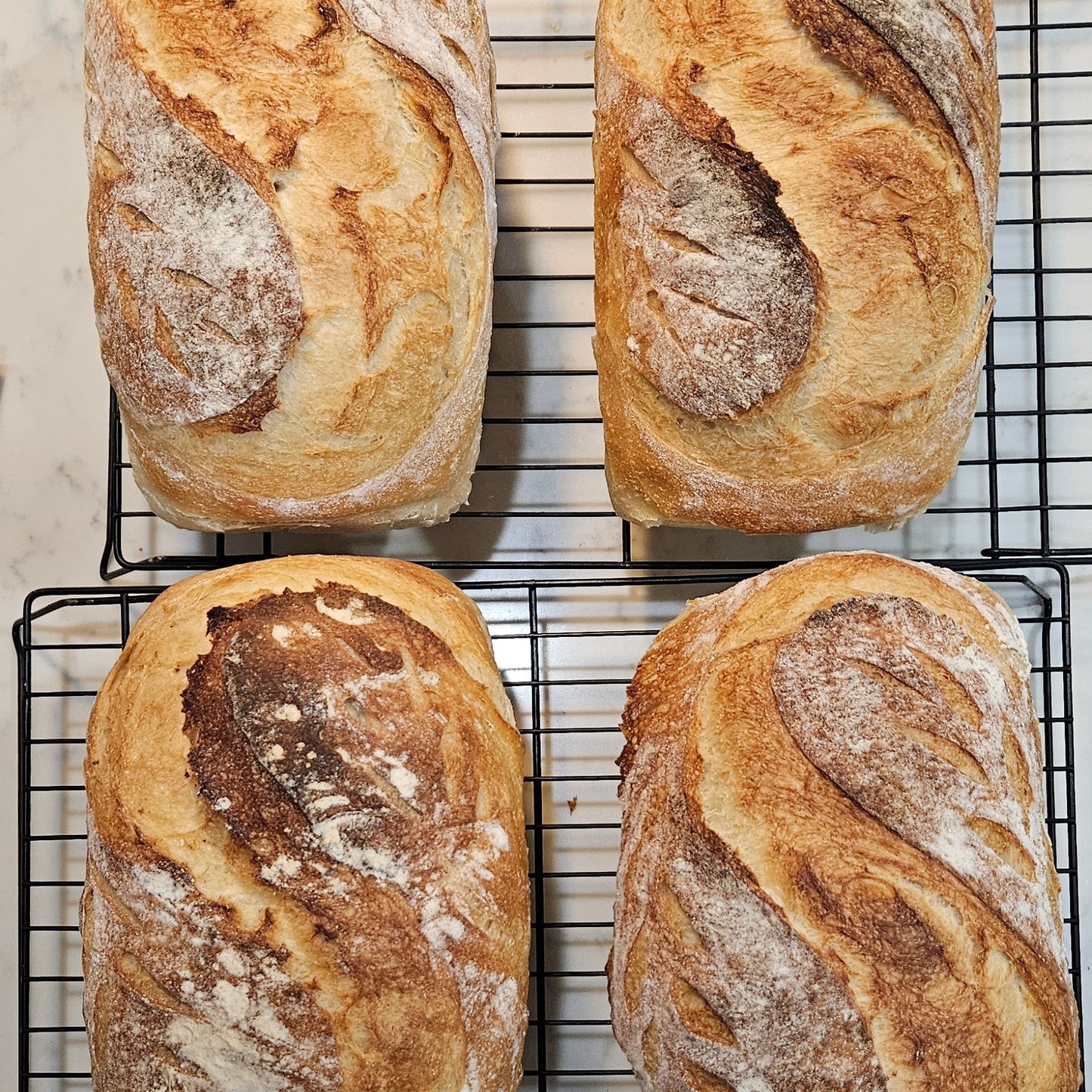 Sourdough Basics Workshop - Wednesday, September 16th 6-8PM